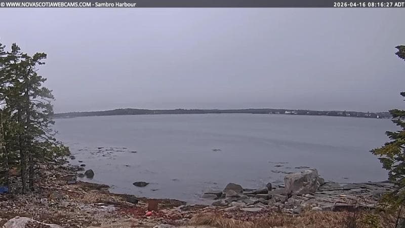 Sambro Harbour