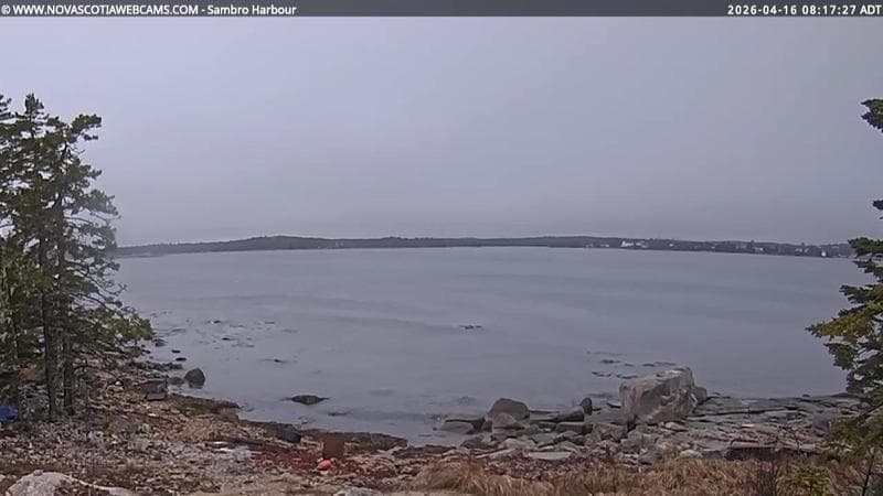 Sambro Harbour