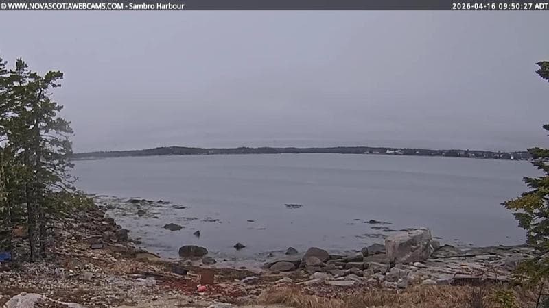 Sambro Harbour
