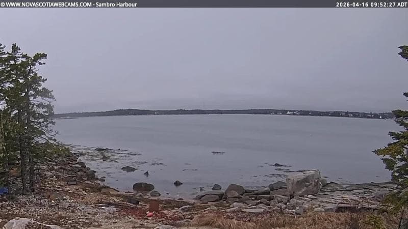 Sambro Harbour