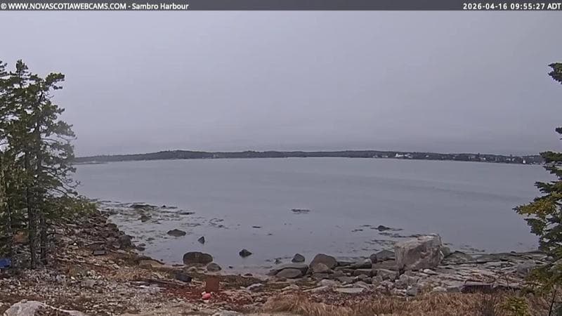 Sambro Harbour