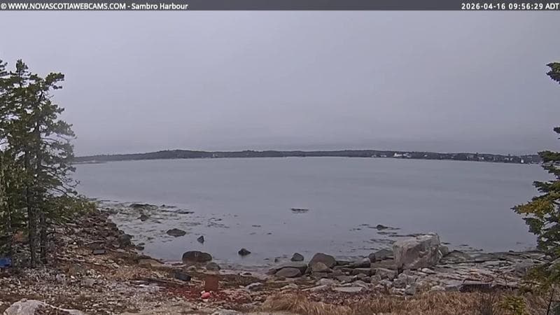 Sambro Harbour