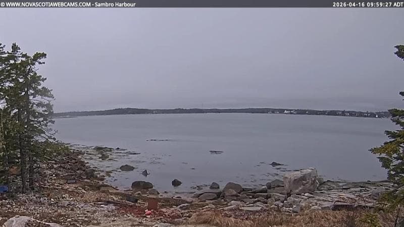 Sambro Harbour