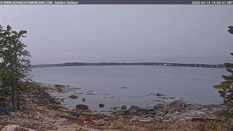 Sambro Harbour