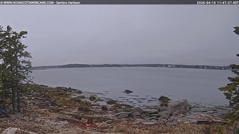 Sambro Harbour