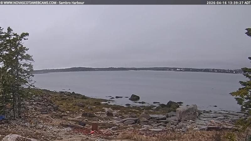 Sambro Harbour