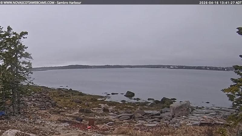 Sambro Harbour