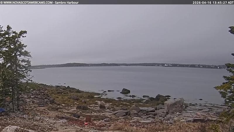 Sambro Harbour