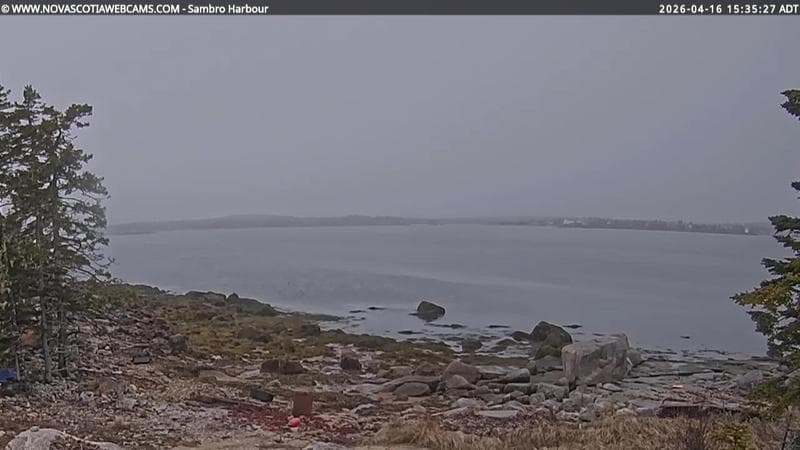 Sambro Harbour